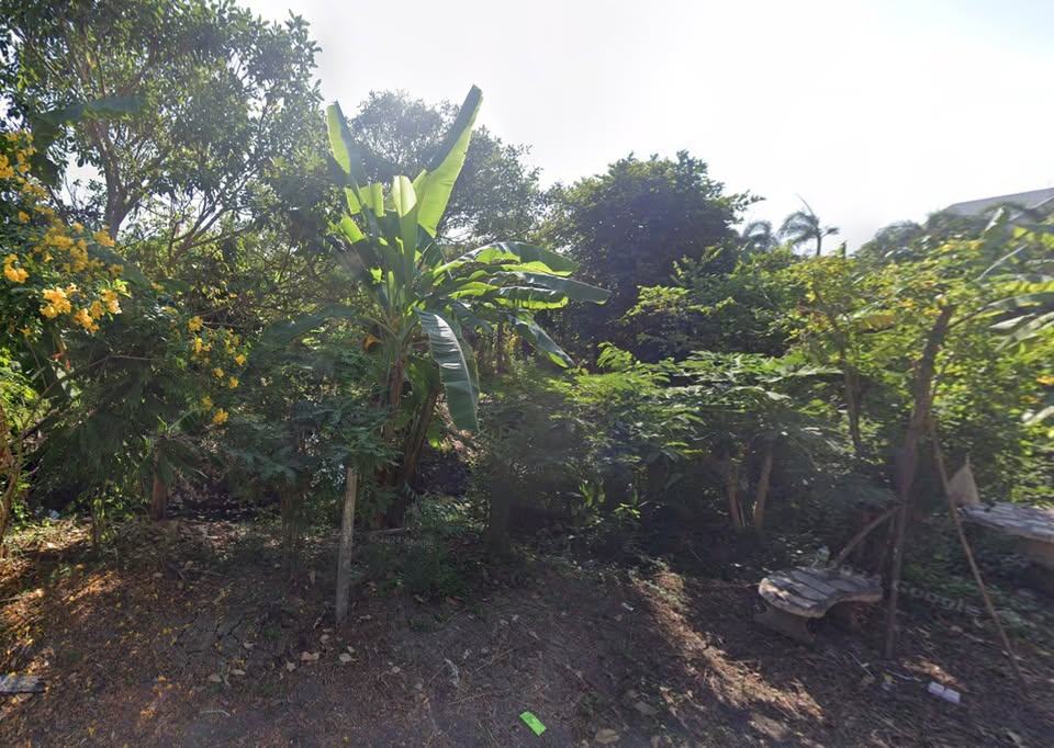 บรรยากาศพื้นที่ GP-011 ภาพที่ 2